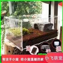 Reptile Feeding Box Pet Box Transparent Acrylic Spider Lizard Snail mantis crickets Turtle Climbing the View Box