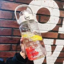 Net Red Large Capacity Straw Cups Daily Drink Water Goal Cup Portable Capacity With Salute Sound Motion Anti-Fall