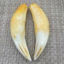 Tooth pendant necklace factory Wenwen handicraft tiger tooth natural jewelry this year mens and womens price antique bear
