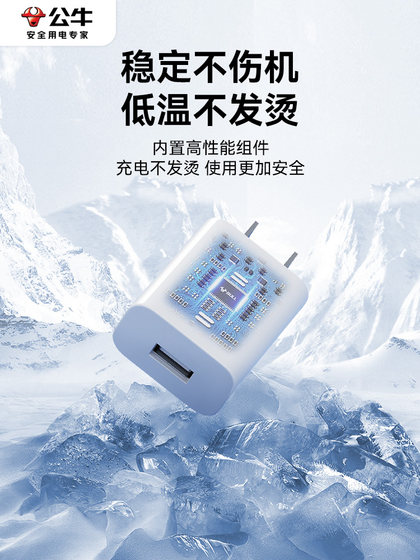 BULL 5V1A2A 충전 헤드 USB 플러그 10.5W Apple 14Pro Huawei Xiaomi Vivo 휴대 전화 빠른 충전 안드로이드 데스크 램프 플랫 블루투스 헤드셋 범용 충전기 데이터 케이블 BULL 5V1A2A 충전 헤드 USB 플러그 10.5W Apple 14Pro Huawei Xiaomi Vivo 휴대 전화 빠른 충전 안드로이드 데스크 램프 플랫 블루투스 헤드셋 범용 충전기 데이터 케이블