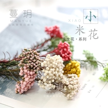 Man Yue DIY hand-made scented candles millet flower car hanging embellishment everlasting flower accessories 2 grams
