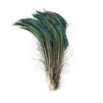 Stage performance decorations feather crafts peacock feather bottle earrings wedding materials hair accessories colorful funny cats high quality