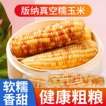 Ready-to-eat glutinous corn Sticky Corn Vacuum Packed with Sweet Stick Corn Stick Breakfast Coarse grain Meal Little Corn