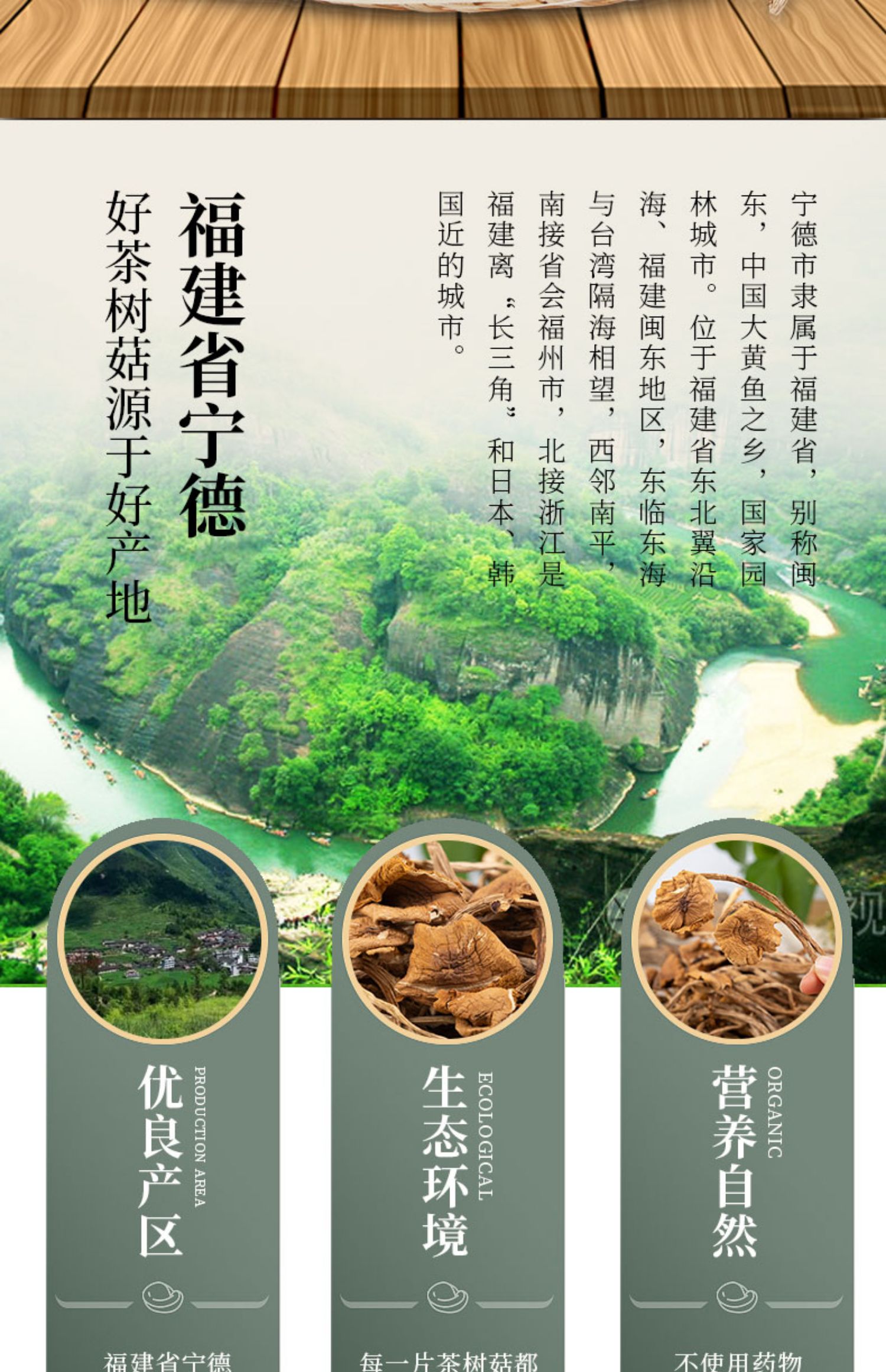 【250g】雪中王福建茶树菇干货