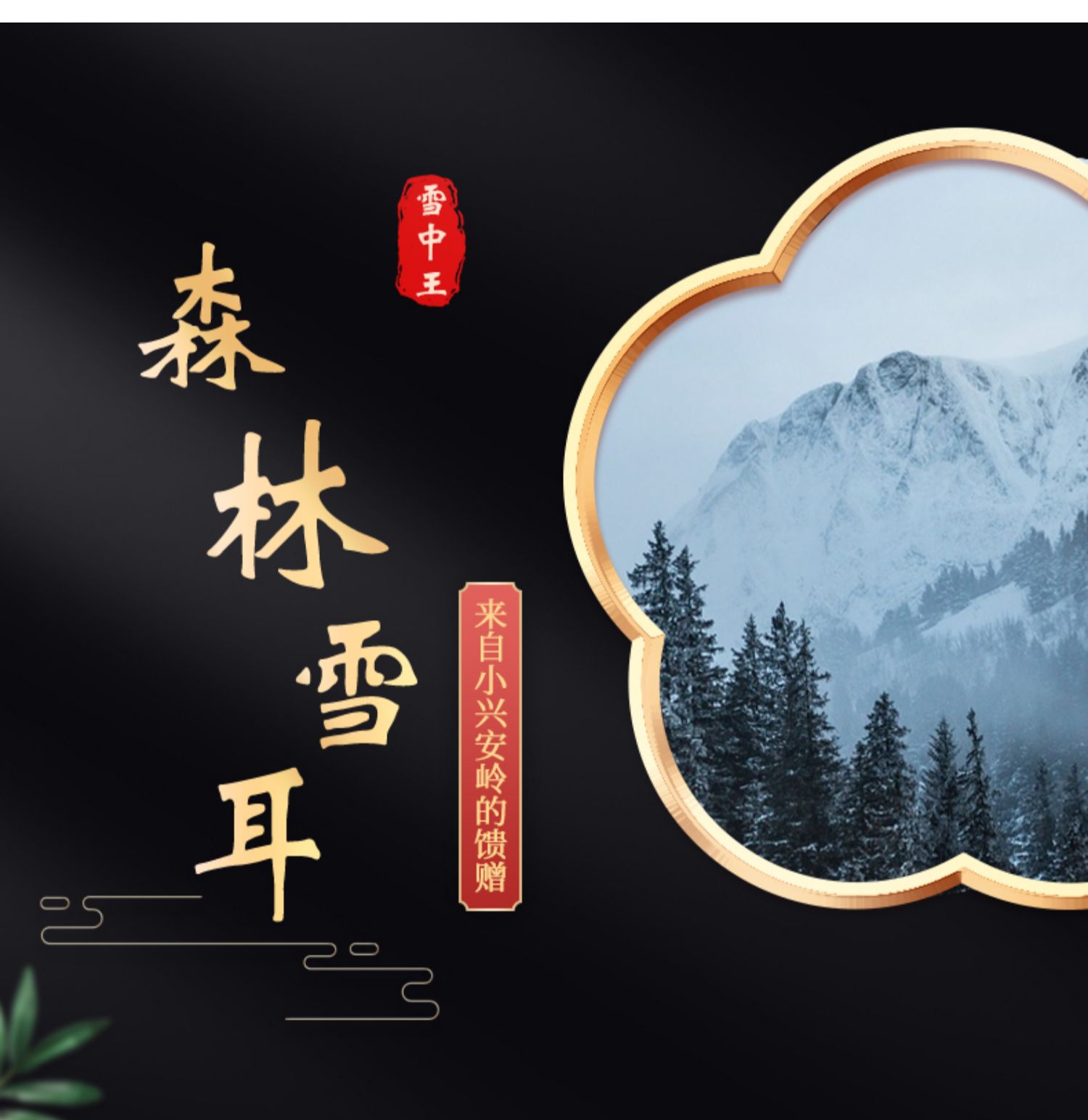 黑龙江特产秋木耳独立包装100g