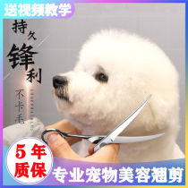 Pet scissors beauty scissors dog Teddy scissors dog hair repair tools set straight scissors teeth scissors cut short thin