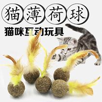Pet Cat Mint Feather Toy Ball Kitty Snacks Grindrome Natural Mint Cat Mint Coccified Gross Teeth
