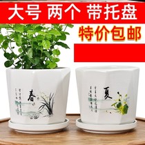 Flower pots 2021 new net red ceramic with trays Living room big numbers Green Roof bird special anti-rotten roots clear cabin --