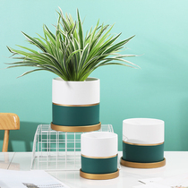 Indoor Butterfly Orchid Flirty Flower Pot Ceramics 2021 New Nordic minimalist Aloe Multi Meat Tiger Pilan Exclusive Creativity