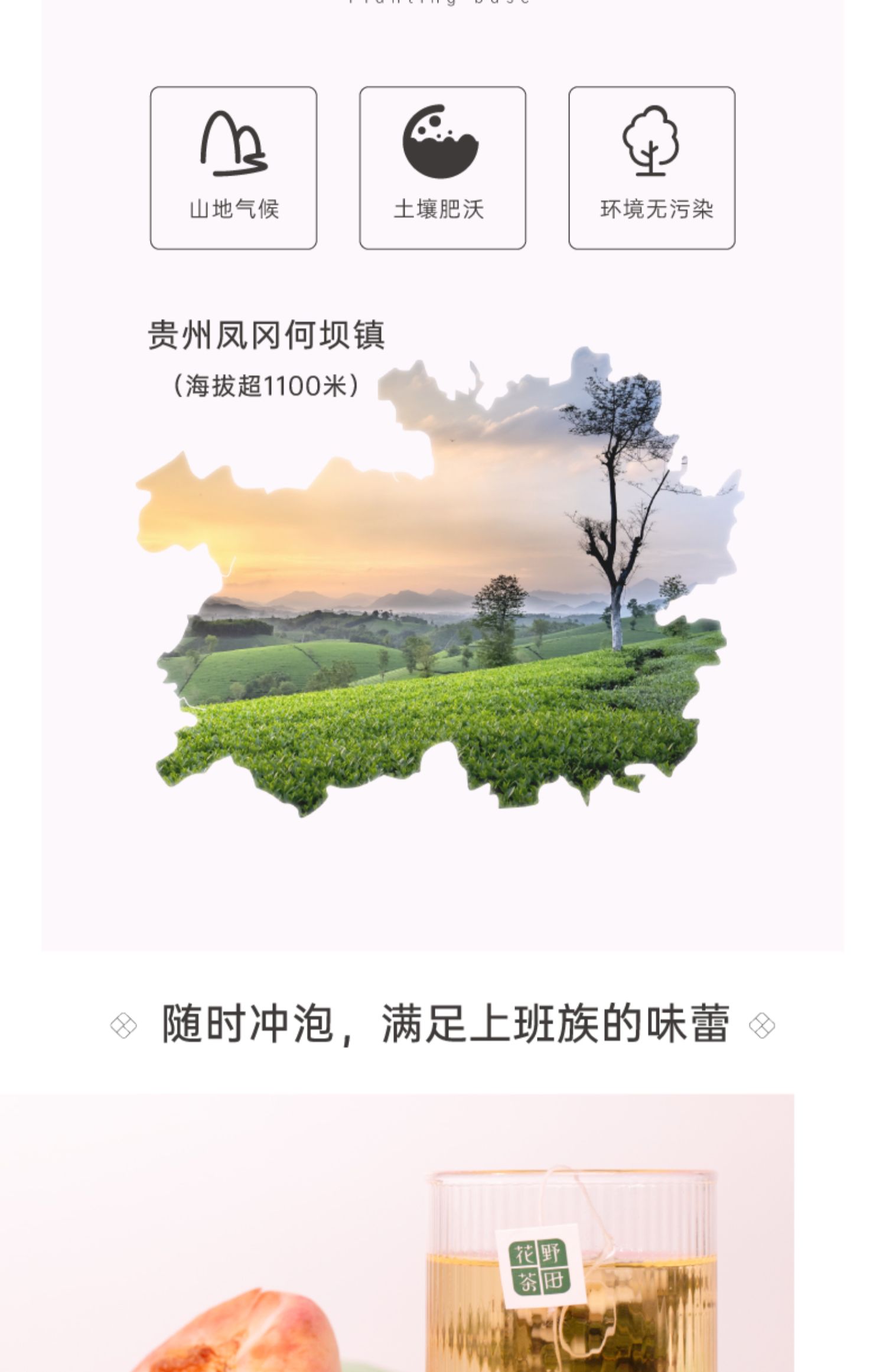 【稳定签到】蜜桃乌龙茶10包