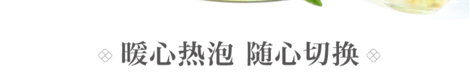 金桔柠檬百香果茶茶包