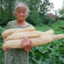 Natural farmhouse loofah dishwashing brush pot scouring cloth household dishwashing cloth old loofah flesh does not touch oil water melon sac