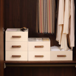 Underwear storage box underwear home wardrobe storage cabinet H drawer-type divided storage box dormitory simple