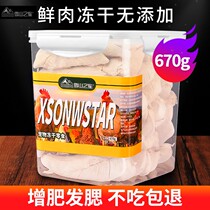 Chicken Breast frozen cat snacks Nutritious Fatting with Egg Yolk Chicken Grain Pet Cat Food The Whole Family Barrel