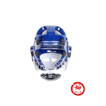 Taekwondo soldiers face protection transparent protective mask karate face protection mask karate face head helmet detachable