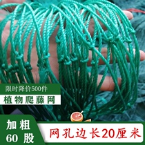 Melon and bean climbing net climbing vine rose traction net grape rack climbing vine net pulling rope plant net melon rack vegetable rack