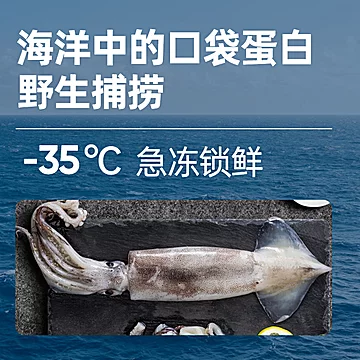 首单+签到【海派说】手撕鱿鱼条30g*3袋[10元优惠券]-寻折猪