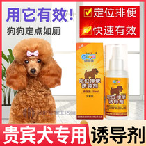 VIP dog special training pet anti-mess Ramier pooch Toilet Pinpoint Defecation Inducing Agent Training Toilet Liquid