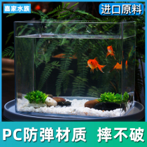 Plastic fish tank transparent anti-fall ultra-white living room square tank small home rainforest imitation glass acrylic seamless bare tank