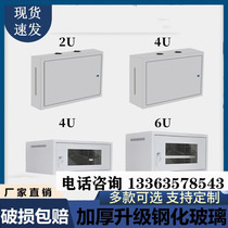 2u4u6u network weak electric flat cabinet small vertical thickening hanging wall wall-mounted case switch storage cabinet can be set