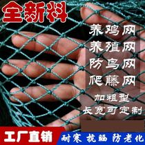 Outdoor breeding chicken nets Chickens Nets Anti-Bird Poultry Breeding Nets mesh Nylon Mesh Enclosure Chicken Mesh High Strength