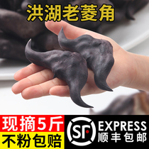 Ling angle fresh raw Lingen Hubei special production farmhouse Honglian now remove powder glutinous black and old vegetables When the season water chestnuts snacks