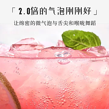 【渣sir】杨梅气泡水网红果汁饮料230ml*6瓶[10元优惠券]-寻折猪