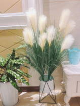 Reed Flower Bouquet Floor Pendulum Dry Bouquet Home Clothing Shop Decoration Shooting Props Furnishing Creative Cloth View Shop Windows