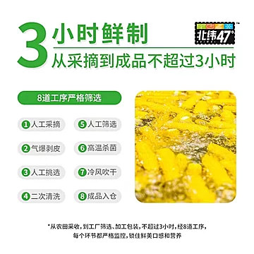 北纬47度花糯玉米轻享装1.2kg[25元优惠券]-寻折猪