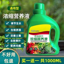 Polyledo preferred to shoot a two-type universal plant family gardening concentrated nutrient solution suitable for various plants 2