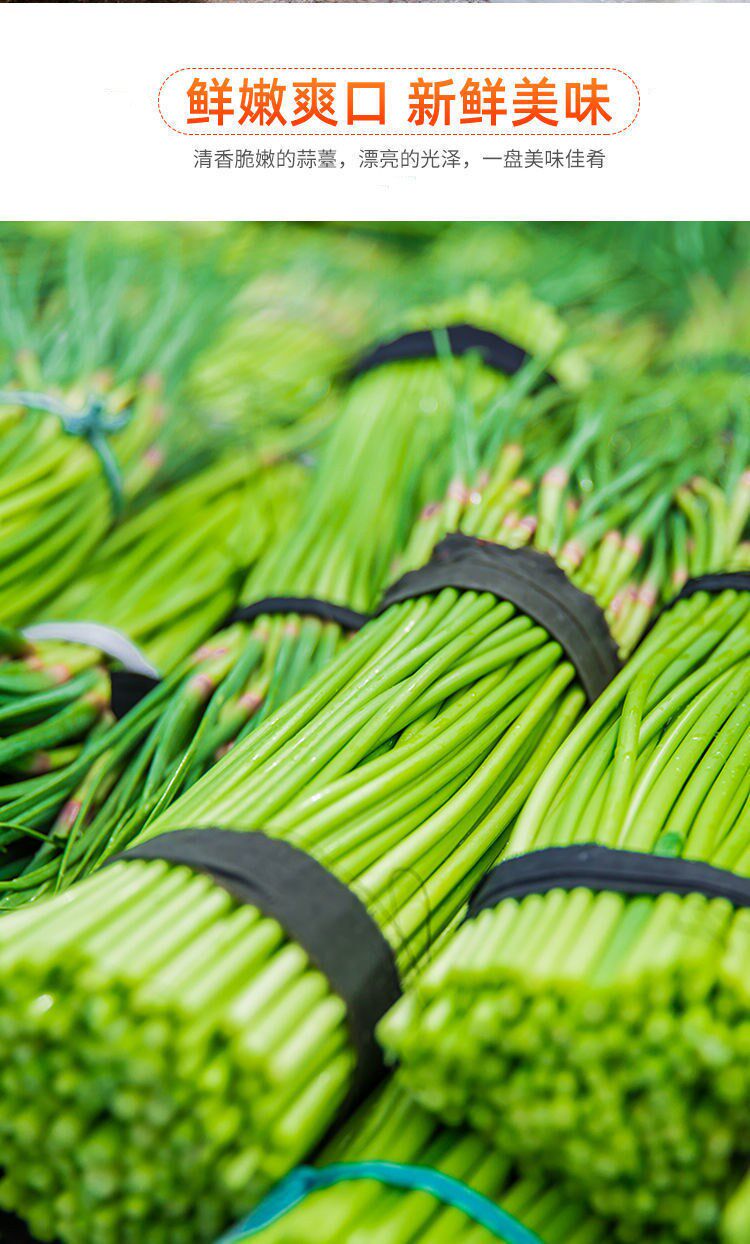 蒜苔河南新鲜脆嫩短蒜苔红帽蒜薹嫩蒜苗5斤3新鲜当季蔬菜整箱包邮