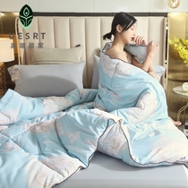 Imported silk quilted by 100 mulberry silk summer cold quilted by winter quilt silk quilt silk quilted by 6 catties 8 catties for the winter