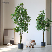 Roman Mom Nordic Indoor Simulation Green Plant Pot Happy Tree Large Living Room Plant Pot