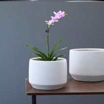 Special upscale 2021 new modern minimalist green loo multi-meat ceramic basin with large caliber flower pots for butterfly and blue flower pots