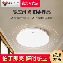 Bull Sensing Suction light Control light Control Balcony Entrance to the family Xuanguan Stairs Aisle Hallway Home LED Lamp