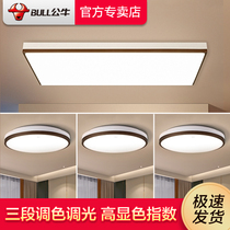Bull New Brilliance Ceiling Light lighting ceiling minimalist Hyundai Lamp package Room Bedroom LED Living room Lights