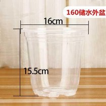 Flower pot automatic water-absorbing green radish water storage basin plastic transparent cover coat hydroponic water-free water storage base