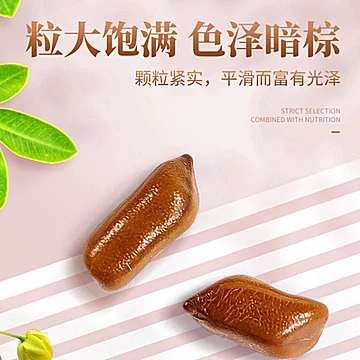 特级正品决明子茶300g/罐[5元优惠券]-寻折猪