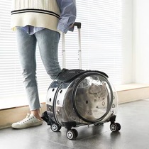 Large-capacity Bubble Box Cat Pull Cat Out Portable Transparent Pet Suite Breakthrough Space Cabin