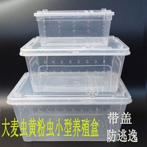 Yellow Pink Worm Breeding Equipment Barley Worm Rearing Box Bread Worm Breeding Rearing Box Plastic Spider Feeding Box