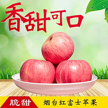 【2021新苹果大果】烟台红富士净重5斤[10元优惠券]-寻折猪