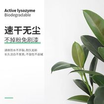 Except mold water repair wall paste white wall repair wall wall repair inner wall powder plaster paste wall repair household