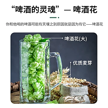 大连人精酿啤酒白啤1000ml*2罐[31元优惠券]-寻折猪