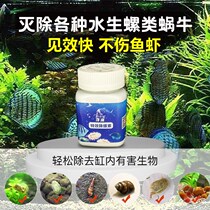 Snail Removal Medicine Fish Tank Snail Removal Agent Shrimp Tank Snail Removal Miscellaneous Snail Flat Cyst Snail Ovine Snail Hydrozoa Leech Protein Insect