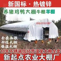 Chiken-farmed greenhouse with a full set of insulation chicken duck pig sheep cowl cowl dedicated to the greenhouse