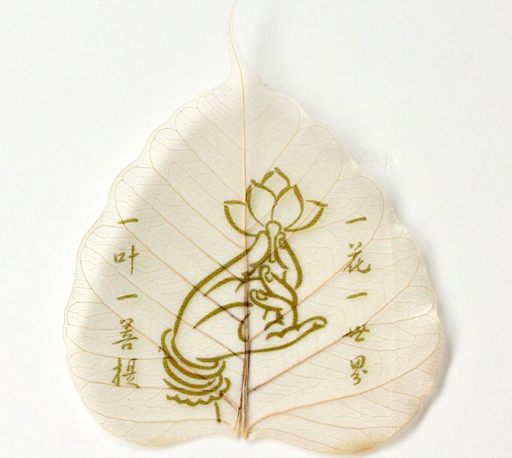 菩提叶脉茶滤天然叶脉 菩提叶 叶脉书签 树叶标本 菩