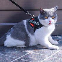 Anti-earn Cat Tow Rope Special Slip Cat Rope Walk Cat Rope Vest Type Braces Item Ring Bolt Small Cat Rope Cat Chain