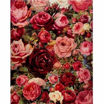 diy digital oil painting floral lush red rose living-room decoration painting minimalist Ou-style outer frame