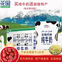 Xinjiang Garden Pure Milk Gulibag Pure Milk FCL Student Milk 200ml*20