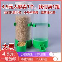 Small Egg Din bird with water drinker Bird drinking water Cup Luding chicken Automatic feeder to automatically feed water-eater food box